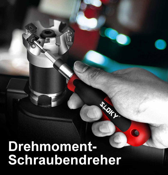 Slkoy Drehmomentschraubendreher